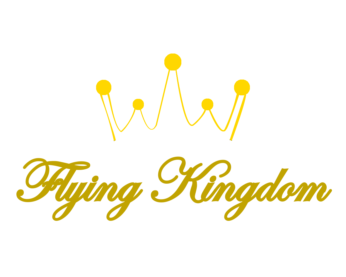 Flying Kingdom